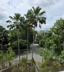 Serangoon Garden Estate (D19), Detached #572264031